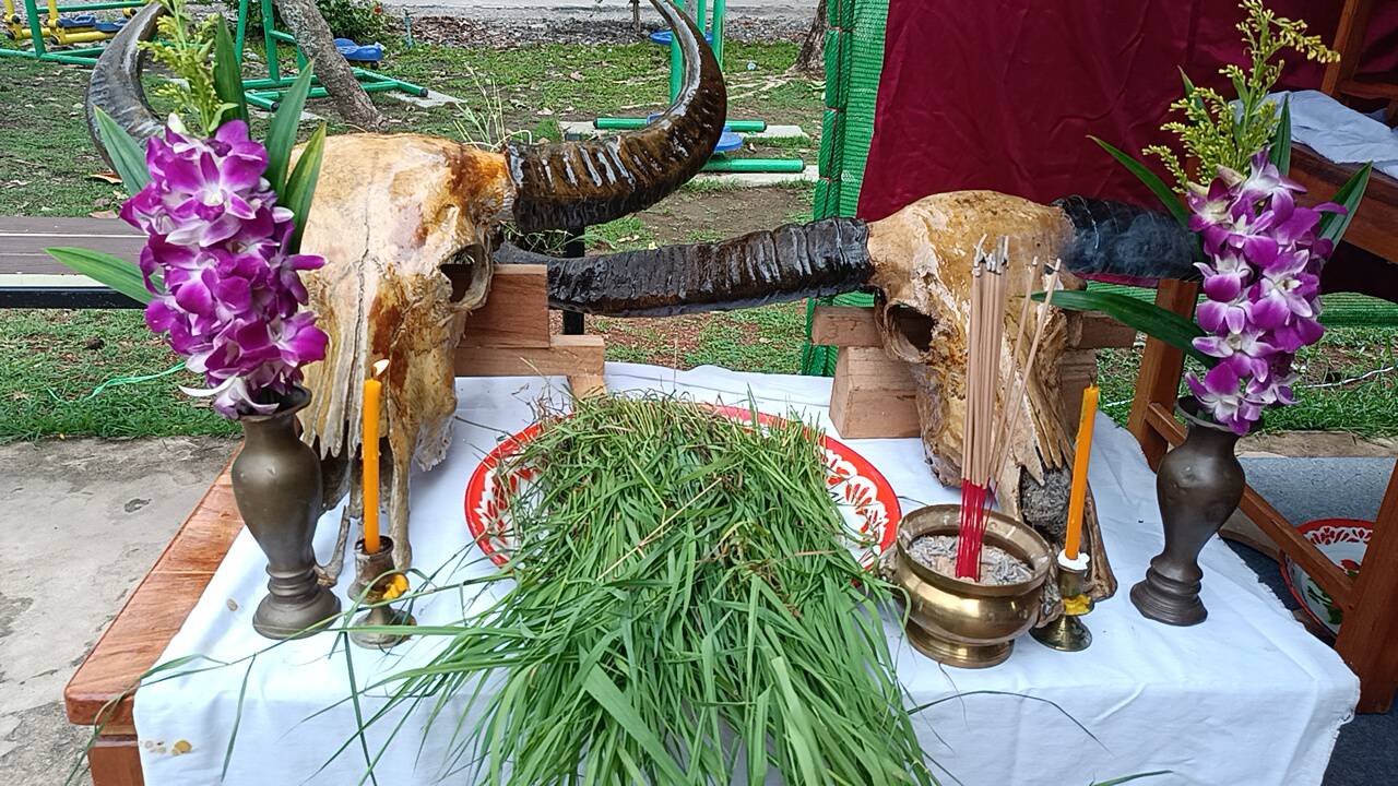 ปราจีนบุรี – สู่ขวัญควายปราจีนบุรีครั้งที่ 3 ปราจีนบุรี – สู่ขวัญควายปราจีนบุรีครั้งที่ 3