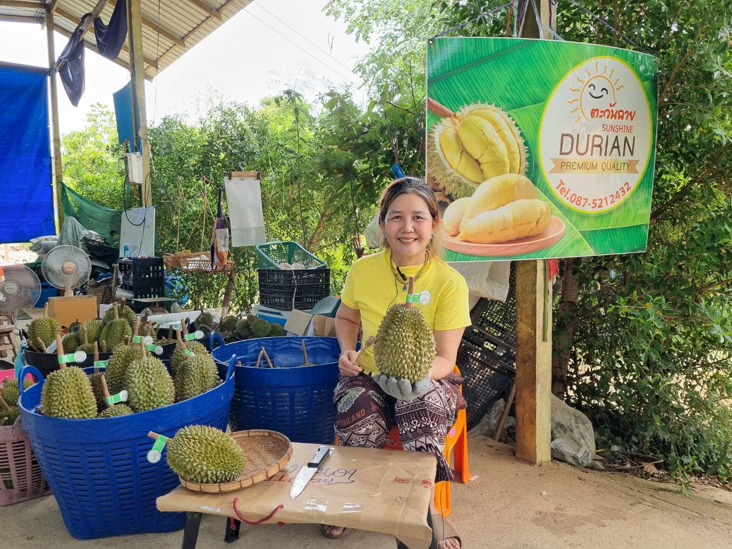ร้านตะวันฉาย ผ้าฝ้ายลับแล กาแฟดริป อุตรดิตถ์ เปิดรับออเดอร์ทุเรียนหลง-หลินลับแล เกรดพรีเมี่ยม ส่งทางไปรษณีย์และรถควบคุมอุณหภูมิ ร้านตะวันฉาย ผ้าฝ้ายลับแล กาแฟดริป อุตรดิตถ์ เปิดรับออเดอร์ทุเรียนหลง-หลินลับแล เกรดพรีเมี่ยม ส่งทางไปรษณีย์และรถควบคุมอุณหภูมิ