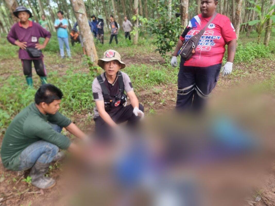 ชลบุรี.-ชายวัย 60 ปี ออกไปกรีดยางรับจ้างกับภรรยาถูกช้างป่าไล่เหยียบกระดูกหักทั้งตัวเสียชีวิตต่อหน้าเมียในป่ายางส่วนเมียหลบในป่าหญ้ารอดหวุดหวิด ชลบุรี.-ชายวัย 60 ปี ออกไปกรีดยางรับจ้างกับภรรยาถูกช้างป่าไล่เหยียบกระดูกหักทั้งตัวเสียชีวิตต่อหน้าเมียในป่ายางส่วนเมียหลบในป่าหญ้ารอดหวุดหวิด