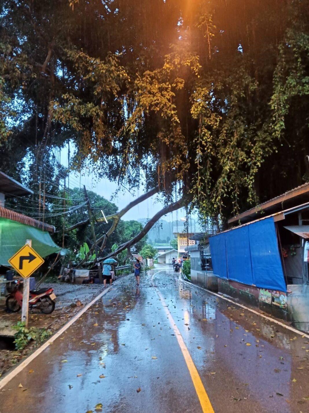 แม่ฮ่องสอน.-บ้านรักไทยระทึกพบรอยดินทรุดขอบอ่างเก็บน้ำกลางบ้าน แม่ฮ่องสอน.-บ้านรักไทยระทึกพบรอยดินทรุดขอบอ่างเก็บน้ำกลางบ้าน