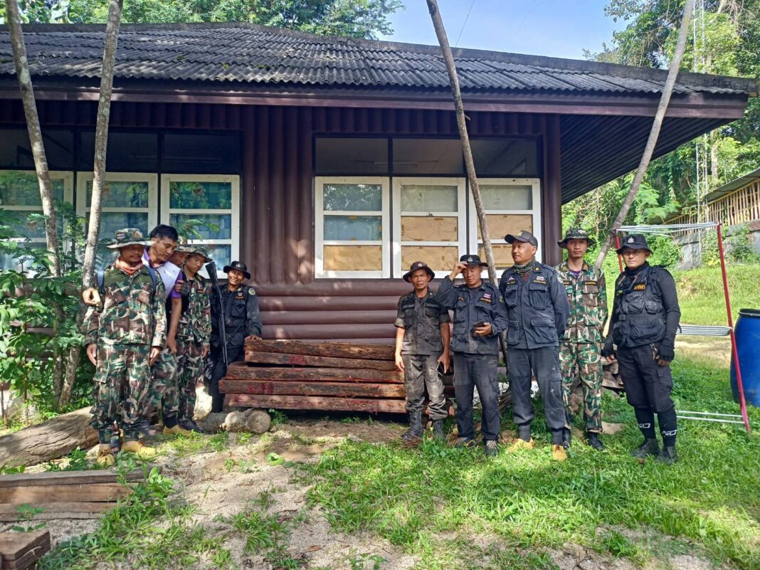 แม่ฮ่องสอน.-จับไม้ประดู่ห้วยแม่ยะหลวง แม่ฮ่องสอน.-จับไม้ประดู่ห้วยแม่ยะหลวง