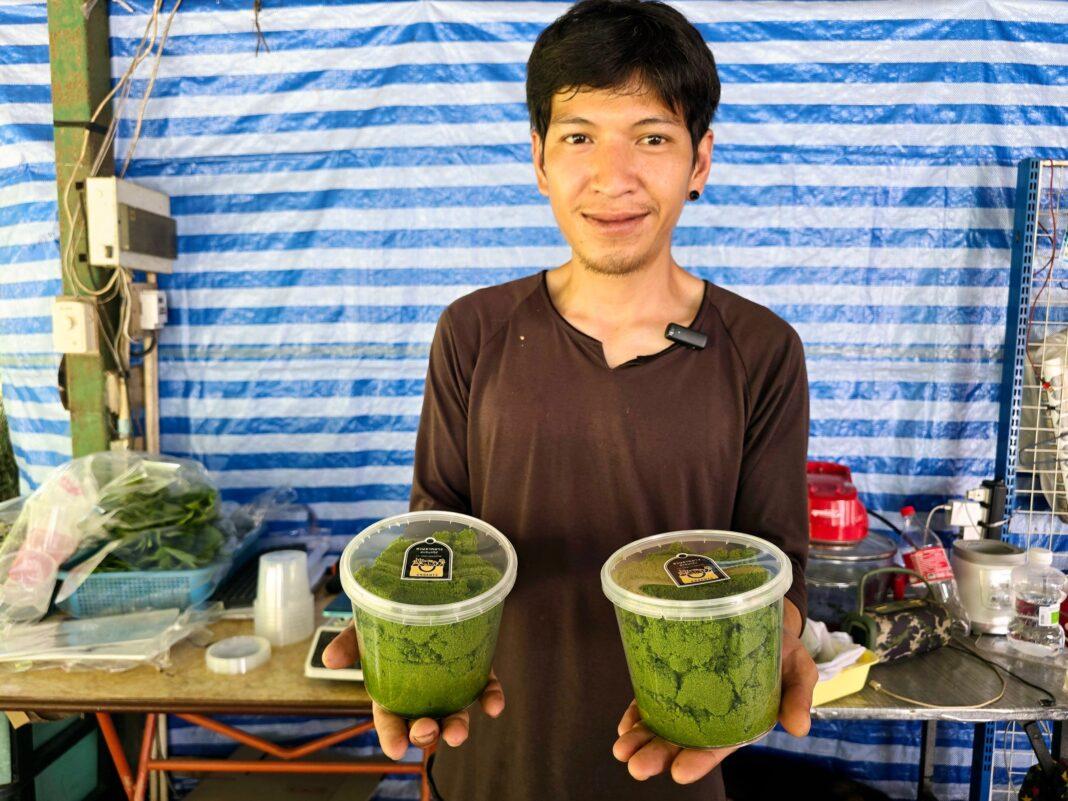 ยะลา.- หนุ่มฟรีแลนซ์กลับบ้านเกิดเพาะไขผำสร้างรายได้งาม ยะลา.- หนุ่มฟรีแลนซ์กลับบ้านเกิดเพาะไขผำสร้างรายได้งาม