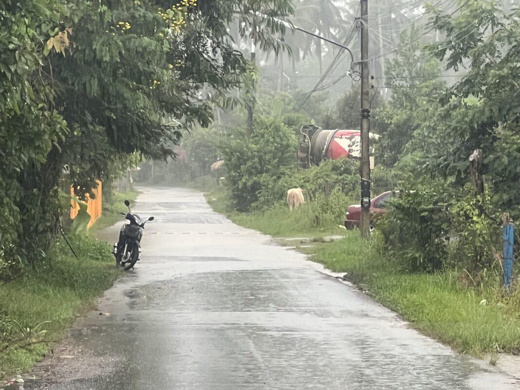 เเจ้งเตือน 8 จังหวัดภาคใต้ ฝนตกหนักถึงสิ้นเดือนนี้ พื้นที่เสี่ยงดินถล่ม น้ำป่าไหลหลาก ทั้งนี้ให้ประชาชนเฝ้าระวังอย่างใกล้ชิด เเจ้งเตือน 8 จังหวัดภาคใต้ ฝนตกหนักถึงสิ้นเดือนนี้ พื้นที่เสี่ยงดินถล่ม น้ำป่าไหลหลาก ทั้งนี้ให้ประชาชนเฝ้าระวังอย่างใกล้ชิด