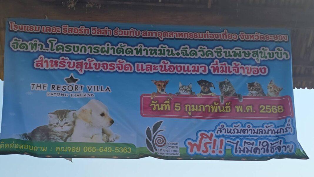 ระยอง.- โรงแรม เดอะ รีสอร์ท วิลล่า เปิดตัวโครงการ “Happy Tails” ลดปัญหาสุนัขและแมวจรจัดในตำบลกร่ำ ระยอง.- โรงแรม เดอะ รีสอร์ท วิลล่า เปิดตัวโครงการ “Happy Tails” ลดปัญหาสุนัขและแมวจรจัดในตำบลกร่ำ
