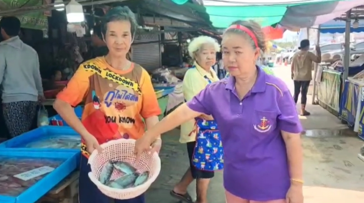 ชาวประมงเรือเล็กผวา ปลาหมอคางดำระบาด ทำหมึก ปู ปลาชายฝั่งหายล่องหน ทำลายระบบนิเวศ ทะเลแสมสาร ร้องประมงสัตหีบ-สมาคมประมงฯ แก้ไขด่วน ชาวประมงเรือเล็กผวา ปลาหมอคางดำระบาด ทำหมึก ปู ปลาชายฝั่งหายล่องหน ทำลายระบบนิเวศ ทะเลแสมสาร ร้องประมงสัตหีบ-สมาคมประมงฯ แก้ไขด่วน